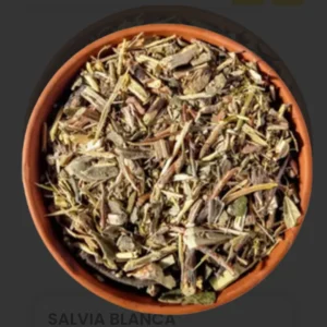 Salvia Blanca