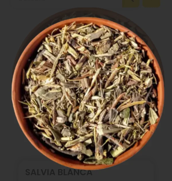 Salvia Blanca