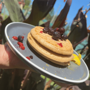 Pancakes Saludables (linea saludable "VF")